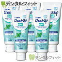 歯磨き粉 チェックアップ ライオン CheckUPジェル ミント 5本(75g／本) 【LION ジェルハミガキ フッ素1450ppmF】 (メール便1点まで)【メール便選択で送料無料】