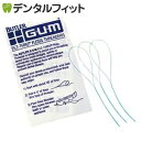 サンスターGUM フロススレッダー #840P 5本入り【G