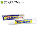 タフデント 入れ歯の歯みがき [小林製薬] / 1本(95g)