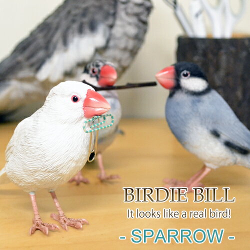 BIRDIE BILL 文鳥シリーズ / バーディビル SPARROW SERIES [置物 オブジェ 雑貨 小鳥 リアル 動物 アニマル 鳥 バード とり かわいい] 【あす楽対応】