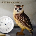 ペットバンク オウル / PET BANK OWL  