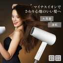 マイナスイオン ドライヤー 大風量 速乾 軽量 ヘアケア シンプル(2)