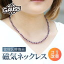Dr.ガウス<Kikyou/キキョウ>管理医療機器 磁気ネックレス メンズ 肩こり 血行改善 医療機器認証 日本製 ビジネス 健康アクセサリー ギフト プレゼン...