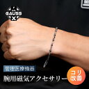 Dr.ガウスX<IDATEN/イダテン> 熊谷敬宥 管理医療機器 腕用磁気アクセサリー メンズ こり 血行改善 医療機器認証 日本製 ビジネス 健康アクセサリー...