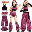 ヒョウ柄 ダンス衣装 キッズダンス衣装 セットアップ 練習着 子供 チアダンス ジャズダンス 女の子 応援団 ステージ衣装 おしゃれ jazz チアガール ダンスウェア 演出服 キッズ ヒップホップ ガールズ ファッション へそ出し レッグウォーマー バラ色 黒 ブラック【D MADE】