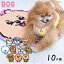 D・O・G シュナ/プードル/シーズー/ダックス/ビション/ポメ/ヨーキー/フレブル/チワワ/柴/ かわいい DOGプリントカフェマット 4,620円