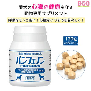 【パンフェノン】120粒 (約60日分) ペット サプリメント 日本製 国内生産 スケアクロウ 犬 猫 錠剤 心臓 咳 気管 僧帽弁 弁膜症 小粒 皮膚 細胞 血管 健康維持 フラボノイド セサミン 副作用なし