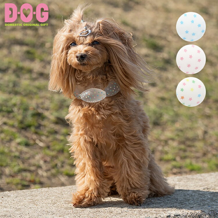 SUO 18ICE for dogs CANDY ۡDOG   COOL  Ҥ 䤿 ...