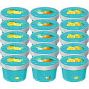 【お中元対応】 ザ・スウィーツ 日本の柑橘シャーベット(15個) 冷凍商品 食料品 乳製品 アイスクリーム