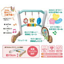 うちの赤ちゃん世界一スマート知育ジム&ウォーカー TB-150 ベビー・子供用品 子供用品 知育玩具