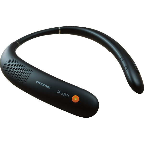 �磻��쥹�ͥå����ԡ����� VS-N300 �Ų����� �Ų�����AV���� ����¾��AV����