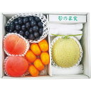 【お中元対応】 贅沢な国産フルーツ4種詰合せ 冷蔵商品 食料品 産地直送品 メロン