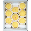 【お中元対応】 岡山県産 岡山白桃(1.9kg) 食料品 産地直送品 農産物