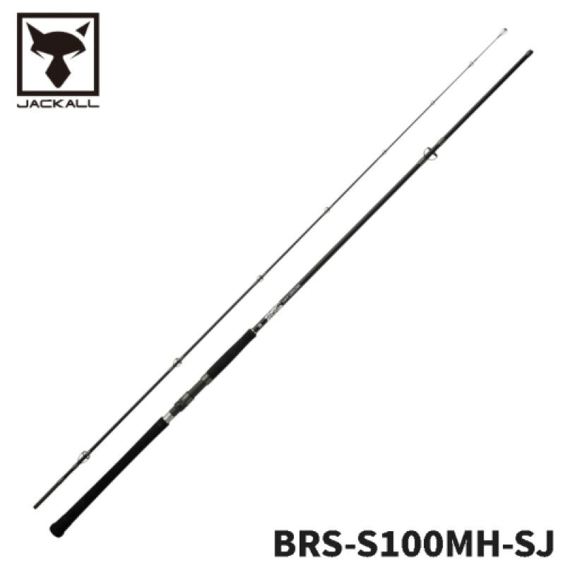BRS(2026年モデル) BRS-S100MH-SJ