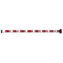 ダイワ(Daiwa) フィッシングメジャーR 150 ブラック/レッド