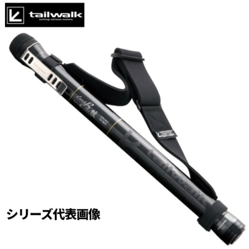 エイテック テイルウォーク キャッチバー改 マイクロ 480