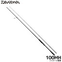 ダイワ(Daiwa) 25 スカイハイ 100MH(4)