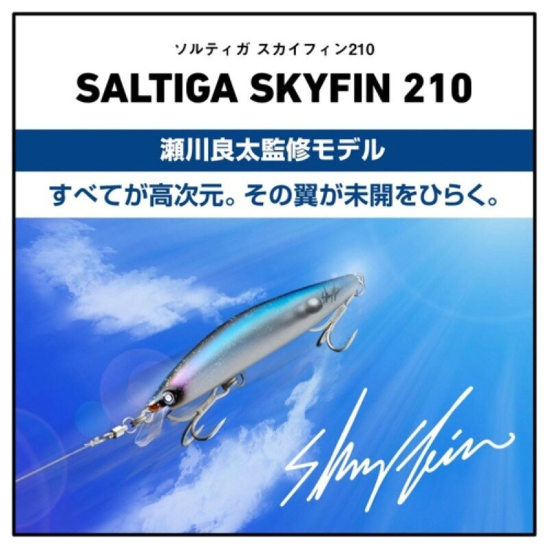 ソルティガ スカイフィン 210 ダークマター (2)
