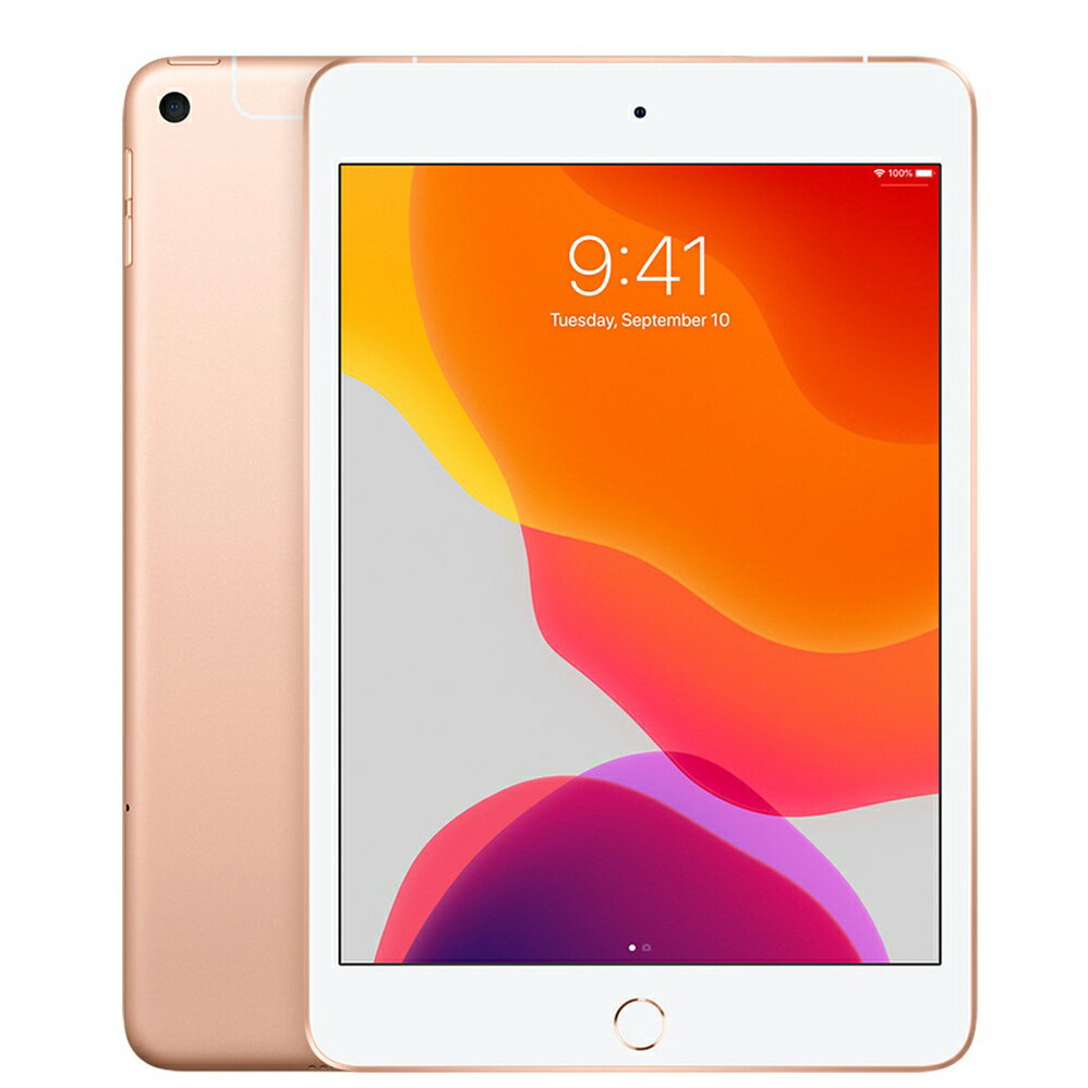 iPad mini 新古品 iPad mini（第5世代） Wi-Fi+Cellular 本体 SIMフリー 64GB 7.9インチ Neural Engine搭載 Apple Pencilに対応 スタイラスペン特典