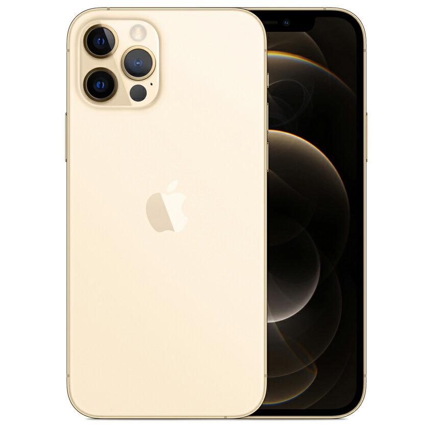 iPhone12 Pro  SIMե꡼ 256GB 5G ե֥ ǥ奢SIM eSIM 饹եŵ