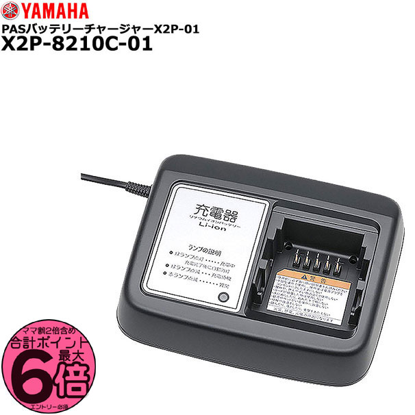 ڥݥȺ62220ۡ24ĶȯX2P-8210C-01 ޥ Ŵ  ޥѽŴ LED  P...