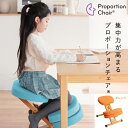 【7/20はエントリーで当店最大P5倍!】【メーカー直送】【代引不可】【日時指定不可】【北海道・沖縄・離島不可】宮武製作所 クッション付きプロポーションチェアキッズ オレンジ 背筋矯正 組立式 CH-889CK-OR