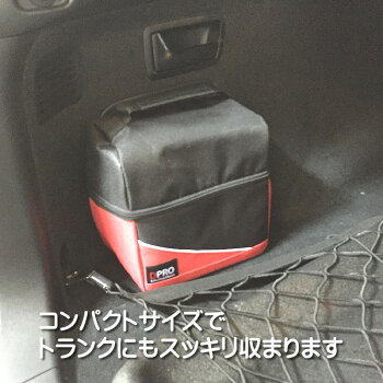 ガラスコーティング剤Type3D洗車セット疎水性メンテナンスバッグ付【あす楽】洗車コーティング/洗車用品/おすすめガラスコーティング剤SET