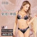 ＼即日配送／【DRW公式】即納ブラジャー ショーツ セット レトロ フラワー フロントホック ブラジャー バック透け フルバック ショーツ 大きいサイズ 下着 レディース ランジェリー セクシー ランジェリー ブラ 上下セット