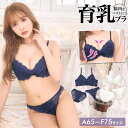 ＼即日配送／【DRW公式】育乳ブラジャー 脇高ブラジャー シ