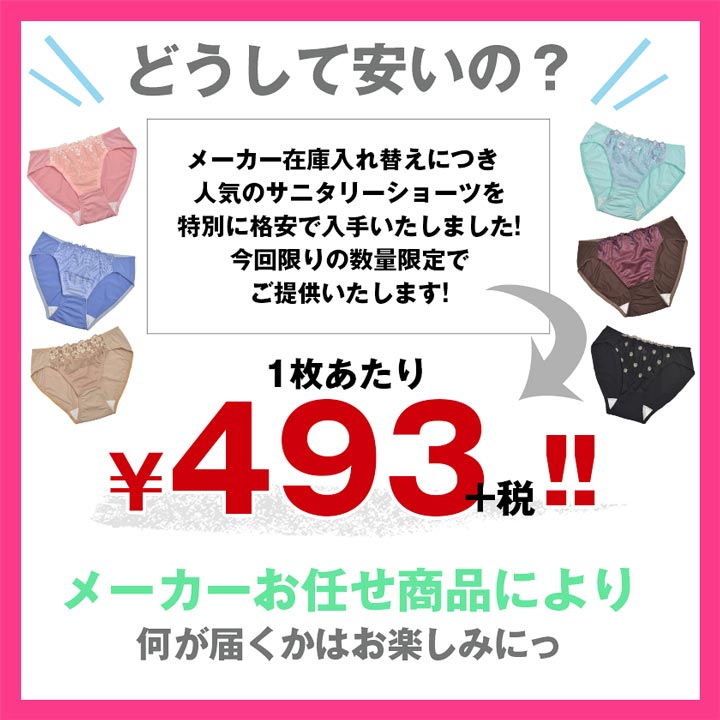 サニタリー ショーツ サニタリー ショーツ 3点入り福袋 サニタリー ショーツ 福袋 生理用 生理 パンツ レディース 下着 単品 大きいサイズ セクシー ランジェリー パンティ インナー 女性 大人 [4/22再販]