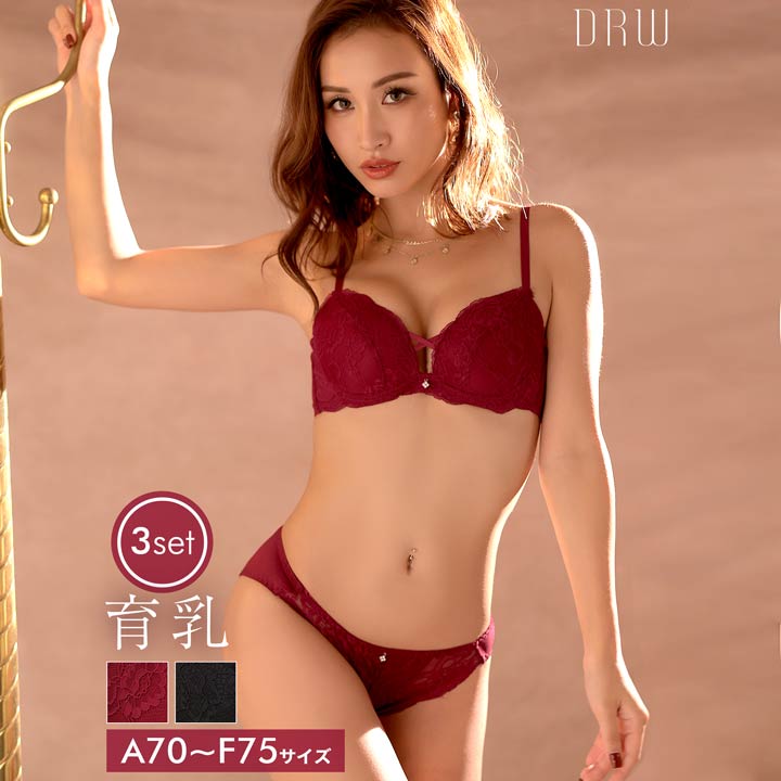 育乳ブラジャー 脇高ブラジャー ショーツ セット 補正下着 クロス レーシィ フラワー 育乳 脇高 ブラジャー & フルバック & Tバック ショーツ | ブラジャー ショーツ セット 脇肉 贅肉 盛りブラ ブラ セット 下着 レディース セットのサムネイル