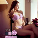 育乳ブラジャー 脇高ブラジャー ショーツ セット 補正下着 ビューティフル レース 育乳 脇高 ブラジャー & フルバック & Tバックショーツ 大きいサイズ ブラジャー ショーツ セット 脇肉 贅肉 盛りブラ セット ランジェリー セクシー
