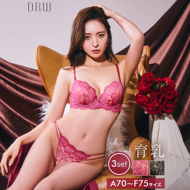 楽天DRW／ドロー 下着・ランジェリー店＼即日配送／【DRW公式】育乳ブラジャー 脇高ブラジャー ショーツ セット 補正下着 アリュール ヌーディー レース 育乳 脇高 ブラジャー & フルバック &Tバック ショーツ | 大きいサイズ ブラジャー ショーツ セット 脇肉 贅肉 盛りブラ セット