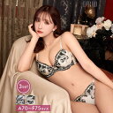即日配送 ブラジャー ショーツ セット ドラマティック リリー ブラジャー & バック透け フルバック & Tバック ショーツ | 下着 セット tバック ティーバック ランジェリー ランジェリー ブラ セット 上下セット