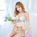 育乳ブラジャー 脇高ブラジャー ショーツ セット 補正下着 ガーリー フラワー シフォン 育乳 脇高 ブラジャー & フルバック ショーツ | ブラジャー ショーツ セット 脇肉 贅肉 盛りブラ ブラ セット 下着 レディース セット ランジェリー セクシー