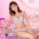 ＼即日配送／【DRW公式】育乳ブラジャー 脇高ブラジャー ショーツ セット 補正下着 ドレッシー ルミナス フラワー 育乳 脇高 ブラジャー & フルバック ショーツ | ブラジャー ショーツ セット 脇肉 贅肉 盛りブラ レディース ランジェリー セクシー