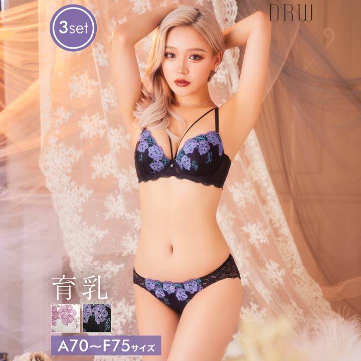 ＼即日配送／【DRW公式】育乳ブラジャー 脇高ブラジャー ショーツ セット 補正下着 アザレア フラワー コード 育乳 脇高 ブラジャー バック透け フルバック Tバック ショーツ 大きいサイズ ブラジャー ショーツ セット 脇肉 贅肉 盛りブラ レディース