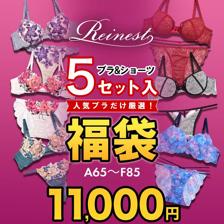 ＼即日配送／【DRW公式】福袋 レディース 下着 ブラジャー ＆ フルバック & Tバック ショーツ 5セット入り 福袋[Reinest] |大きいサイズ 福袋 下着 セット 下着 レディース 福袋 福袋 ブラジャー ショーツ セット