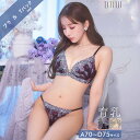 ＼即日配送／【DRW公式】育乳ブラジャー 脇高ブラジャー ショーツ セット 補正下着 三上悠亜着用 メロウ フルール シフォン 育乳 脇高 ブラジャー & Tバック ショーツ | ブラジャー ショーツ セット 脇肉 贅肉 盛りブラ ブラ 下着 レディース