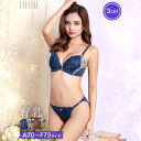 即日配送 育乳ブラジャー 脇高ブラジャー ショーツ セット 補正下着 ビターレーシィ フルール 育乳 脇高 ブラジャー & フルバック & Tバック ショーツ 大きいサイズ ブラジャー ショーツ セット 脇肉 贅肉 盛りブラ レディース