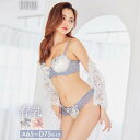 即日発送 drw育乳ブラジャー 脇高ブラジャー ショーツ セット 補正下着 ニュアンス ナチュラル フラワー 育乳 ブラジャー & フルバック ショーツ 大きいサイズ即日配送 ブラジャー ショーツ セット 脇肉 贅肉 盛りブラ ブラ セット 下着 レディース セット(4)