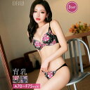 即日配送 育乳ブラジャー 脇高ブラジャー ショーツ セット 補正下着 アンティーク ドレッシーローズ 育乳 脇高 ブラジャー & フルバック & Tバック ショーツ | 大きいサイズ即日配送 ブラジャー ショーツ セット 脇肉 贅肉 盛りブラ ブラ セット 下着 レディース