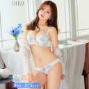 ピュア水彩レーシィブラジャー&フルバックショーツ