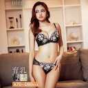 育乳ブラジャー 脇高ブラジャー ショーツ セット 補正下着 フィオーレ シアー エンブロイダリー 育乳 脇高 ブラジャー & バック透け フルバック ショーツ ブラジャー ショーツ セット 脇肉 贅肉 盛りブラ ブラ セット 下着 レディース セット 【7/12再販】(4)