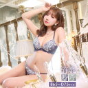 育乳ブラジャー 脇高ブラジャー ショーツ セット 補正下着 三上悠亜着用 ゴージャス モダン ローズ 育乳 脇高 ブラジャー & バック透け フルバック ショー...