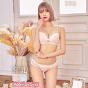 【2/22再販】ガーリーレースバタフライ育乳脇高ブラジャー&フルバックショーツ(4)