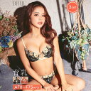 育乳ブラジャー 脇高ブラジャー ショーツ セット 補正下着 フィオーレ ワイド ストリング 育乳 脇高 ブラジャー & バック透け フルバック & Tバック ショーツ 大きいサイズ ブラジャー ショーツ セット 脇肉 贅肉 盛りブラ ブラ セット 下着 レディース セット