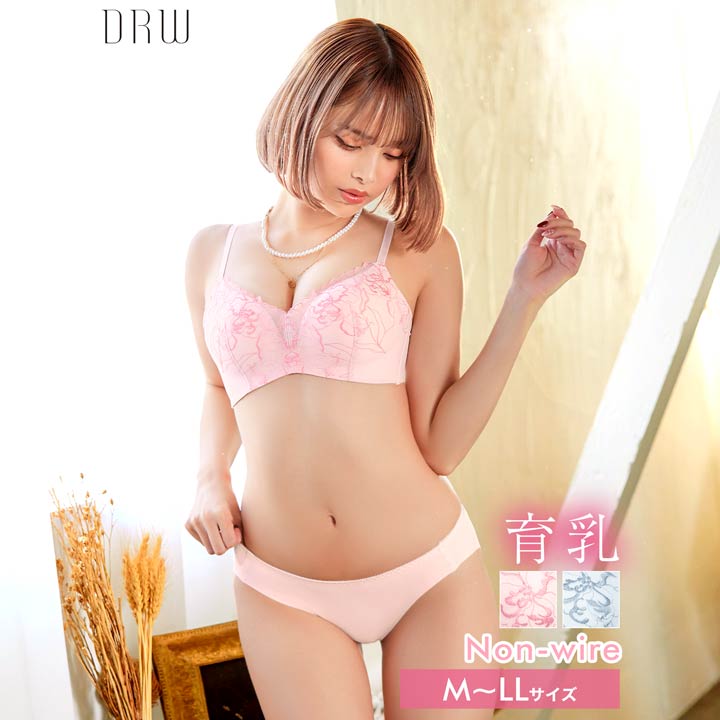 育乳ブラジャー 脇高ブラジャー ショーツ セット 補正下着 ノンワイヤー パステル シアー ブロッサム 育乳 脇高 ブラジャー & フルバック ショーツ ブラジャー ショーツ セット 脇肉 贅肉 盛りブラ ブラ セット 下着 レディース セット drw