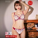 ブラジャー ショーツ セット フェミニン シアー フローラル ブラジャー & フルバック & Tバック ショーツ 下着 レディース セット tバック ティーバッ...