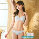 【2/11再販】水彩チュールフリルコードブラジャー&フルバックショーツ